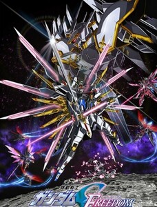 ◆ガンダム SEED FREEDOM 1４週目　入場者特典　 第14弾　セカンドキービジュアルイラストカード