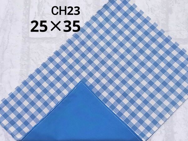 CH23 ランチョンマット チェック 青色 ブルー シアン 生成カス残し ナフキン ランチクロス 給食 ハンドメイド シンプル