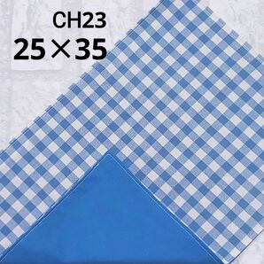 CH23　ランチョンマット　チェック　青色　ブルー　シアン　生成カス残し　ナフキン　ランチクロス　給食　ハンドメイド　シンプル