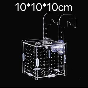 水槽　水族　組立式　繁殖箱　隔離ボックス　隔離ケース　産卵箱　小