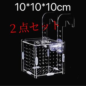 水槽　繁殖箱　隔離ボックス　隔離ケース　産卵箱　10*10*10cm 2点