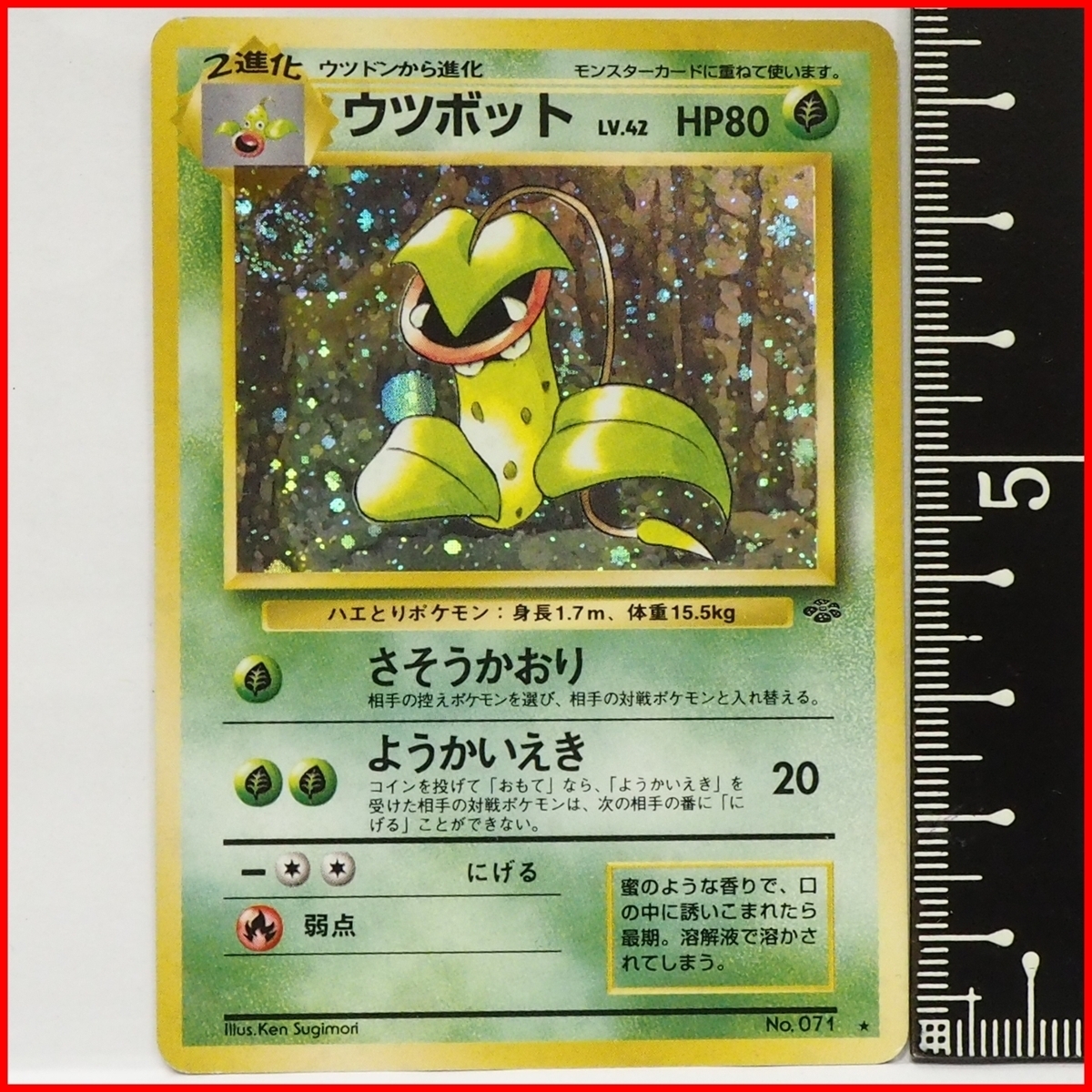 34枚セット】ポケモンカード 旧裏 第二弾 ポケモンジャングル