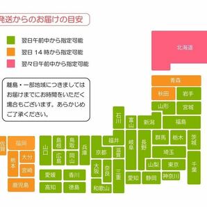 クロコオロギ L(羽) 200匹+α(死着保証) 2.5〜3.0cm程の画像3