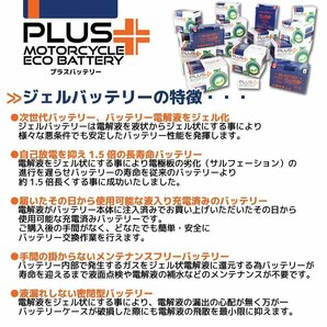 充電済み ハーレー専用バッテリー保証付 互換65989-97A Buell(ビューエル) M2サイクロン S3 S3T サンダーボルト X1ライトニングの画像3