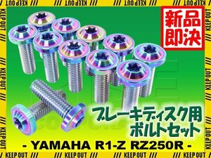 メール便OK！チタンボルト ヤマハ R1-Z RZ250R 17インチ専用 ブレーキディスクボルト フロント用 12本セット M8×25 P1.25 焼き色 軽量化