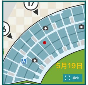 阪神甲子園球場 レフトスタンド　外野席　阪神対ヤクルト　5月19日　ペア　2枚連番