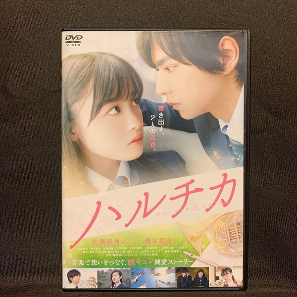 ハルチカ('17映画/橋本環奈/佐藤勝利)【レンタル落ちDVD】