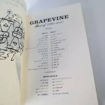 グレイプバイン GRAPEVINE Best of (1997~2012) CD 2枚組 初回数量限定盤 PCCA-03688 ブックレット・OUTCAST2.0 プレイボタン 付き _画像8
