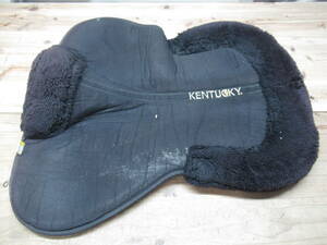 KENTUCKY ケンタッキーハーフパッド 乗馬 馬術 馬具 管理6MS0425C98