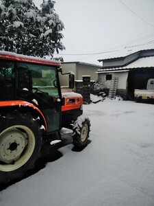 熊本阿蘇産コシヒカリ