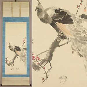 Art hand Auction 【不明】◆孔雀図◆春景◆花鳥◆日本画◆肉筆◆絹本◆掛軸◆t663, 絵画, 日本画, 花鳥, 鳥獣
