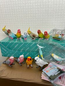 手のりインココレクション ことり隊テラリウム セキセイインコ ボタン コザクラ オカメ キバタン モモイロ ガチャガチャ