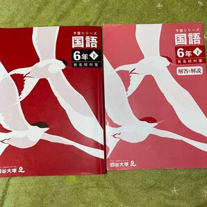 国④ 『訳あり』四谷大塚　予習シリーズ　国語 6年下　有名校対策