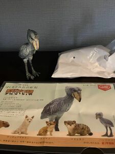 フィギュア 那須どうぶつ王国 カプセルトイ ガチャ ハシビロコウ はしもとみお キタンクラブ 奇譚クラブ