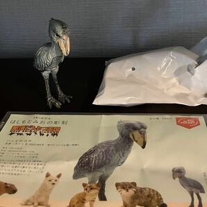 フィギュア 那須どうぶつ王国 カプセルトイ ガチャ ハシビロコウ はしもとみお キタンクラブ 奇譚クラブ