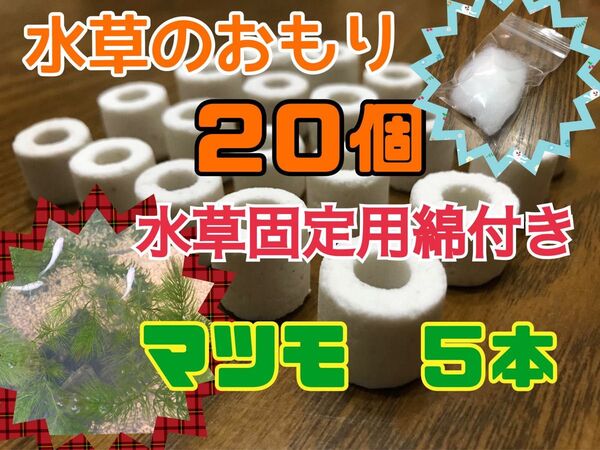 水草のおもり20個と水草固定用綿とマツモ5本のセット 水草のおもり 綿 マツモ 水入れ梱包発送 ろ過材 メダカの飼育 水草の育成
