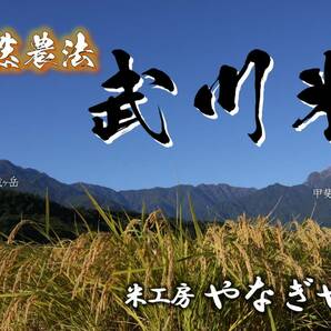 【新品種】［自然農法］武川米　にじのきらめき　白米 1.5kg（約１升）