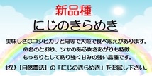 【新品種】［自然農法］武川米　にじのきらめき　白米 1.5kg（約１升）_画像3