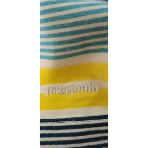 パタゴニア半袖ポロシャツ の画像3