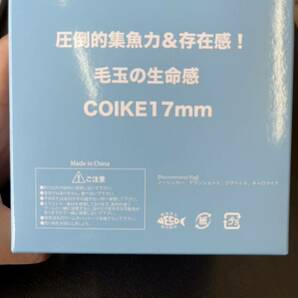 新品未使用品 GGR クリアー レッド コイケ 17mm 限定 カラー ハイドアップ HIDEUP coike モリケンリグ ルアマガ 陸王 jb top 50 ルアーの画像8