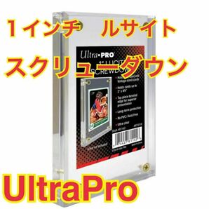 Ultra・PRO ウルトラプロ 1インチ ルサイトスクリューダウン　