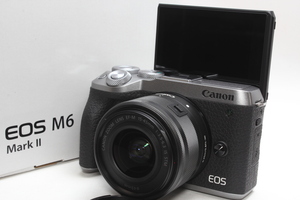 ★極美品★Canon キヤノン EOS M6 MarkⅡ 標準レンズセット シルバー Wi-Fi＆Bluetooth★新品SDカード付き