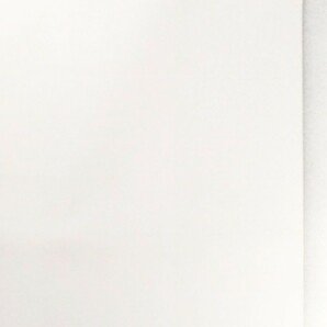 美品B２ポスター「スター・トレック」当時物映画ポスター.監督:ロバート・ワイズ.主演:ウィリアム・シャトナー.R・ニモイ.1979年作品の画像8