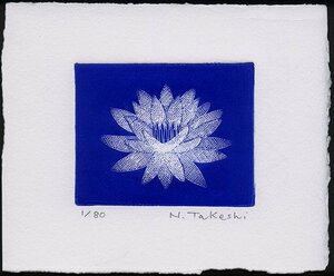  water lily *2022A/ copperplate engraving * deep etching / new goods, work only 