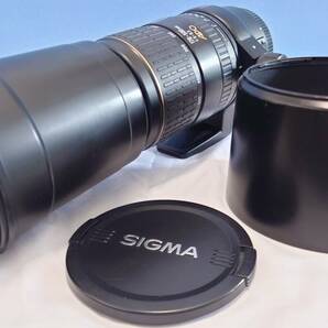 ★動作品★ SIGMA シグマAPO 170-500mm f5-6.3 オートフォーカス 望遠レンズ（キヤノン CANON用）の画像1