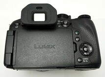 【美品】 カメラ　Panasonic　LUMIX　DMC-FZ300　シャッター 974回　付属品完品　+　MC プロテクタ　/　パナソニック　ルミックス_画像7