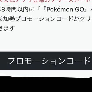 【即決】タリーズ ポケモンGO 2024 パートナーリサーチ 参加券 1口 取引ナビでのお伝えのみの画像2