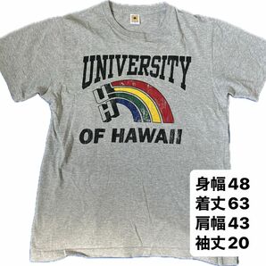 ハワイカレッジ Tシャツ グレー　M