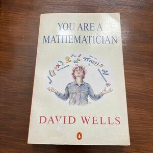 You're a mathematician David Wells 数学者　洋書