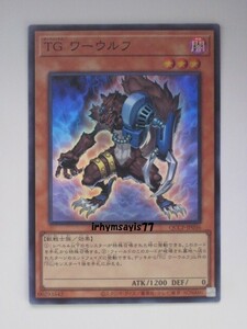 遊戯王 ＴＧ ワーウルフ スーパーレア 1枚 日版 QCCP 数量9 ＴＧ