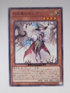 遊戯王 白き森のルシア ノーマル モンスター 1枚 未使用品 日版 INFO 数量9 白き森