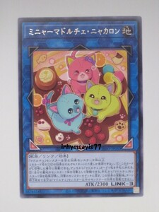 遊戯王 ミニャーマドルチェ・ニャカロン 字レア 1枚 未使用品 日版 INFO 数量9 マドルチェ