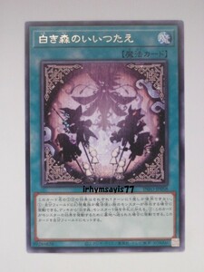 遊戯王 白き森のいいつたえ 字レア 1枚 未使用品 日版 INFO 数量9 白き森