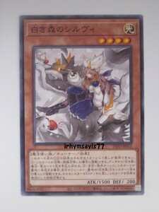 遊戯王 白き森のシルヴィ ノーマル モンスター 1枚 未使用品 日版 INFO 数量9 白き森