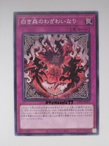 遊戯王 白き森のわざわいなり ノーマル 罠 1枚 未使用品 日版 INFO 数量9 白き森