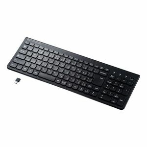 ワイヤレススリムキーボード 無駄を省いた薄型 コンパクトキーボード Type-C SKB-WL31CBK サンワサプライ 送料無料 新品