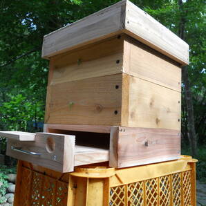 日本ミツバチ 重箱式2段待受箱 お得な3セット！掃除し易くスムシ対策も！(巣箱の取説、捕獲のコツなど参考資料付き)の画像4