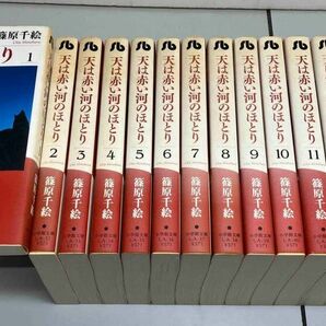 天は赤い河のほとり　全巻 （小学館文庫　しＡ－４６） 篠原千絵／著