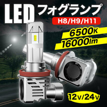 led フォグランプ ヘッドライト h8 h9 h11 ledバルブ ヘッドライトバルブ 明るい 爆光 車検対応 12v 24v トラック ポン付け ホワイト M3_画像1