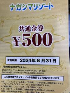 ナガシマスパーランド、なばなの里　金券500円分