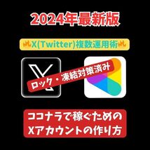 【2024年最新版】マジでココナラで毎月安定した収入を得る！X(Twitter)拡散ビジネスで稼ぐ方法。ロック、凍結対策ずみ /副業_画像1