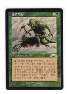 MTG/EXO/日本語/R/適者生存/Survival of the Fittest A