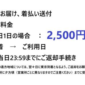 ◆レンタル◆4/26到着-4/29ご返却発送◆Canon EOS R6ボディ単体+予備バッテリー+RF70-200mmF2.8の画像3