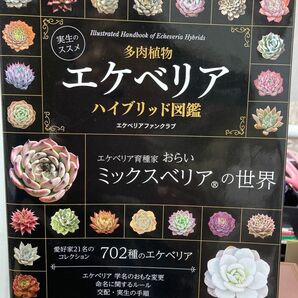 多肉植物エケベリアハイブリッド図鑑　実生のススメ エケベリアファンクラブ／〔著〕