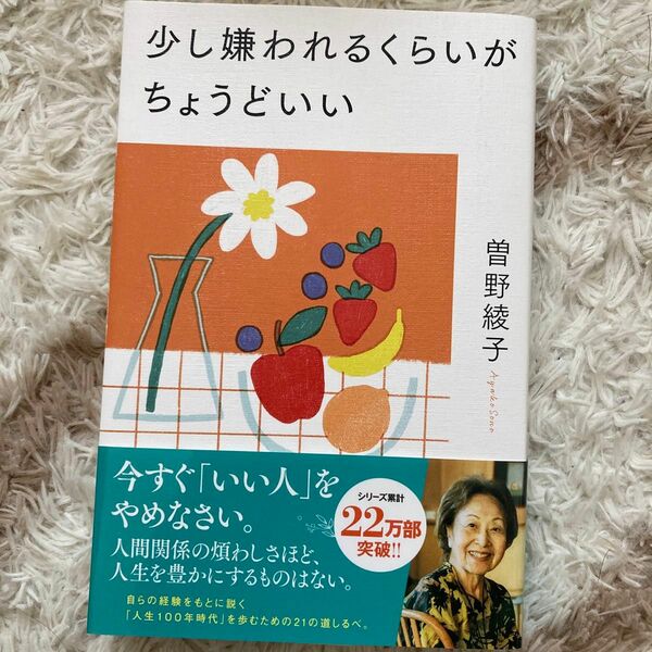 少し嫌われるくらいがちょうどいい 曽野綾子／著