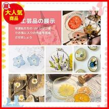 ★400g★ レジン液400g, 大容量アップグレードされた超透明で硬いUV UV レジン液速硬化-レジン初心者向け Resin_画像5